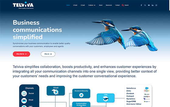 WordPress Website Design 4