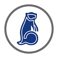 Motorlease Group