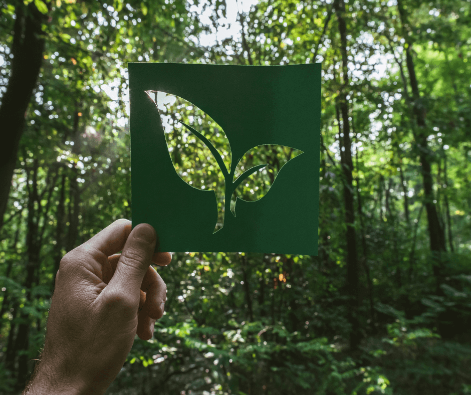 WordPress Speed Optimisation 5 Sustainable Web Design