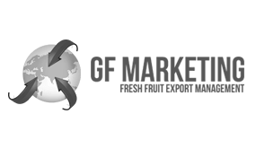Home 11 gfmarketing